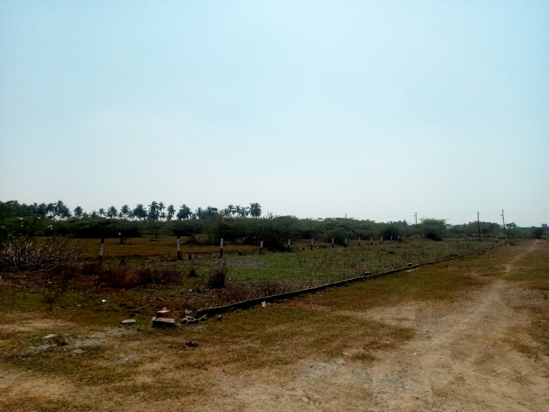  Residential Plot 727 Sq.ft. for Sale in Chengalpet, Chennai