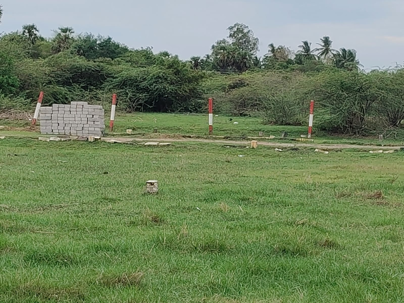  Residential Plot 735 Sq.ft. for Sale in Maduranthakam, Chengalpattu