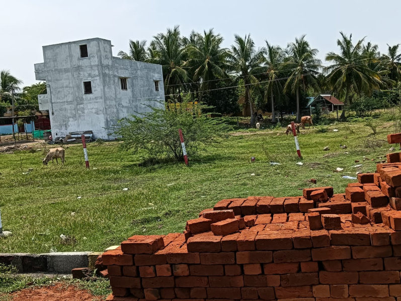  Residential Plot 1525 Sq.ft. for Sale in Maduranthakam, Chengalpattu