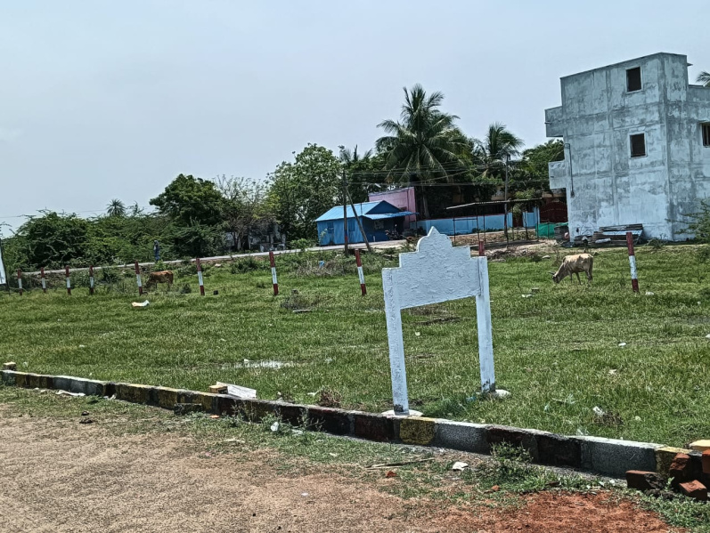  Residential Plot 737 Sq.ft. for Sale in Karunguzhi, Chengalpattu