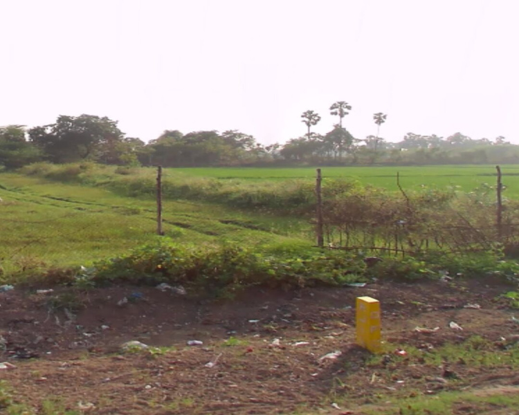  80 Acre Residential Plot for Sale in Ozhalur, Chengalpattu