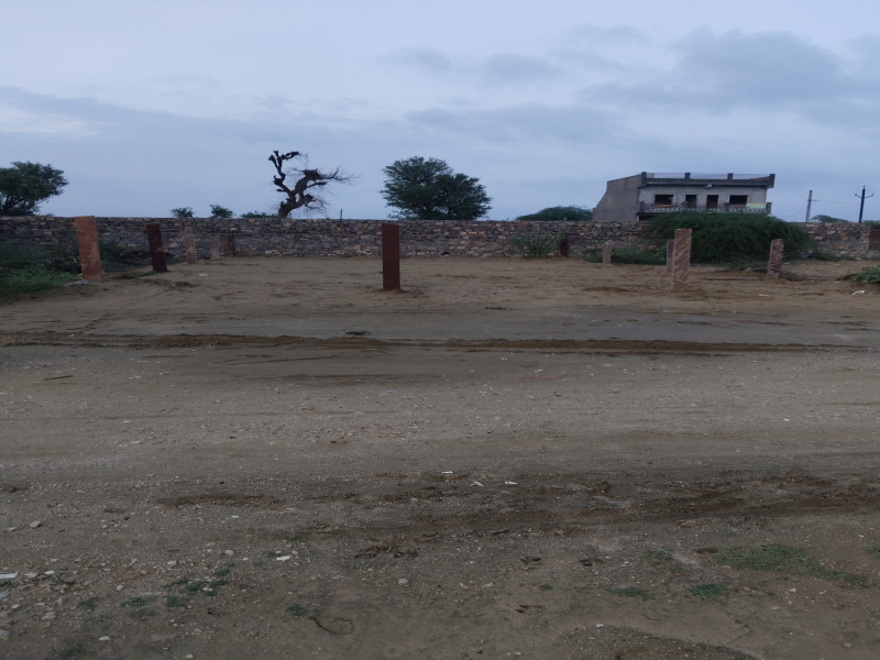 Residential Plot 2800 Sq.ft. for Sale in Nokha, Bikaner