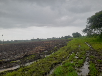  Agricultural Land for Sale in Bembli, Osmanabad