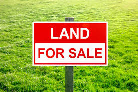  Residential Plot for Sale in Ghatgaon, Kendujhar