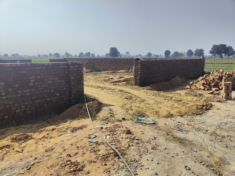  Residential Plot 10800 Sq.ft. for Sale in Arya Nagar, Hisar