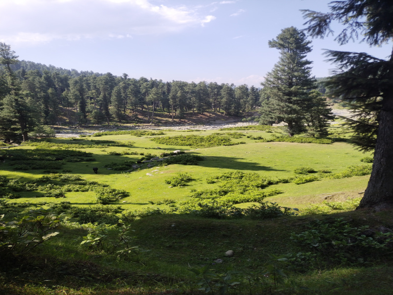  Residential Plot 4 Acre for Sale in Nishat, Srinagar