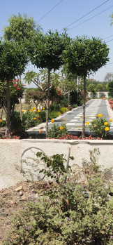  Residential Plot for Sale in Ujjain Road, Indore