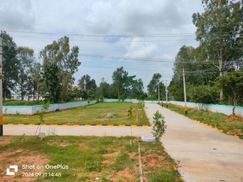  Residential Plot for Sale in Jigani, Bangalore