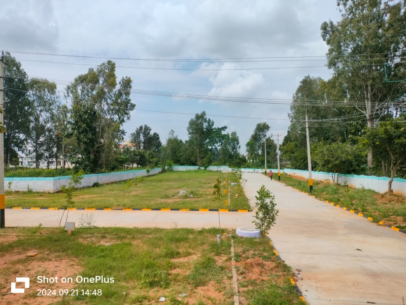  Residential Plot 1200 Sq.ft. for Sale in Jigani, Bangalore