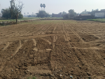  Commercial Land for Sale in Kanhauli, Bihta, Patna