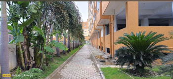 3 BHK Flat for Sale in Khagaul Road, Patna