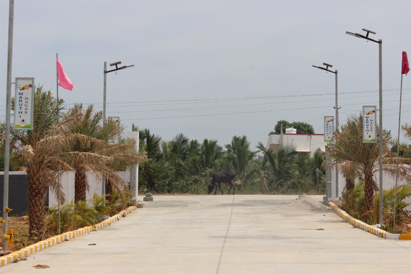  Residential Plot 1200 Sq.ft. for Sale in Panjapur, Tiruchirappalli