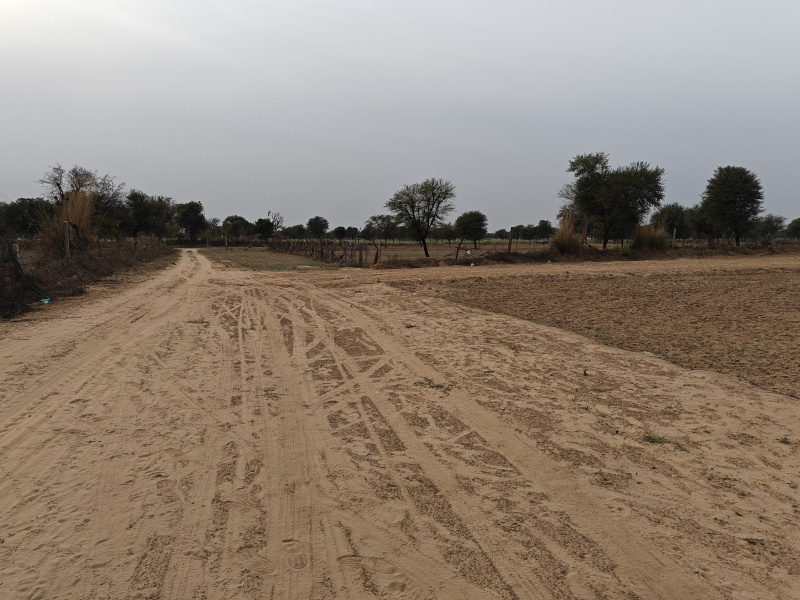  200 Sq. Yards Residential Plot for Sale in Chomu, Jaipur