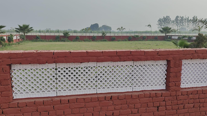  Residential Plot 149 Sq. Yards for Sale in Banat, Shamli