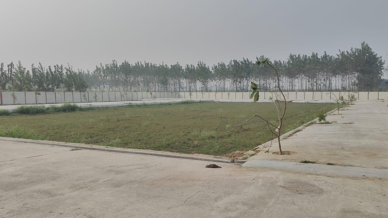  Residential Plot 149 Sq. Yards for Sale in Banat, Shamli