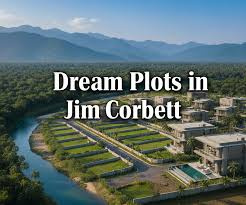  300 Sq.ft. Residential Plot for Sale in Ramnagar, Nainital