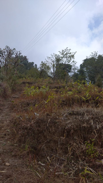  Residential Plot 10 Acre for Sale in Upper Cart Road, Kalimpong