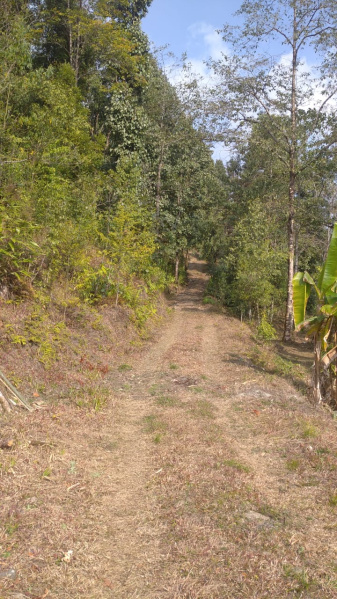  Residential Plot 10 Acre for Sale in Upper Cart Road, Kalimpong