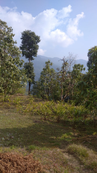  Residential Plot 10 Acre for Sale in Upper Cart Road, Kalimpong