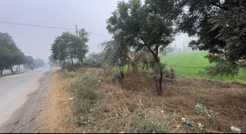  Agricultural Land 3 Acre for Sale in Aligarh Road, Palwal