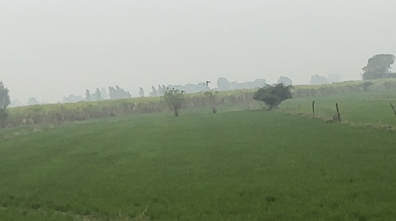  Agricultural Land 3 Acre for Sale in Aligarh Road, Palwal