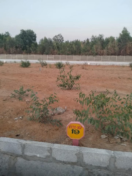  Residential Plot for Sale in Begur, Bangalore