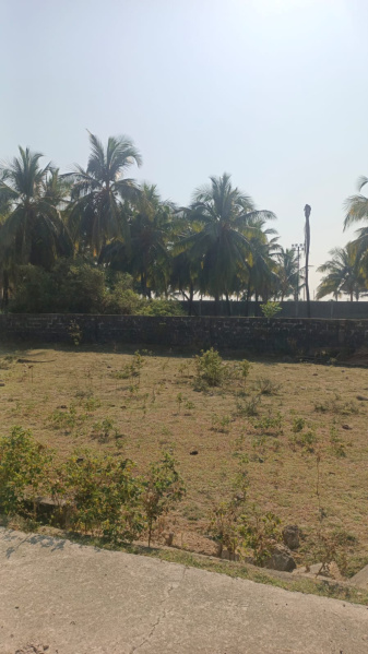  Residential Plot 97 Sq. Yards for Sale in Chhaya, Porbandar