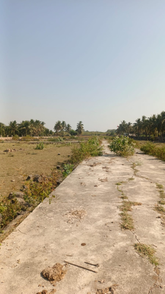  Residential Plot 97 Sq. Yards for Sale in Chhaya, Porbandar