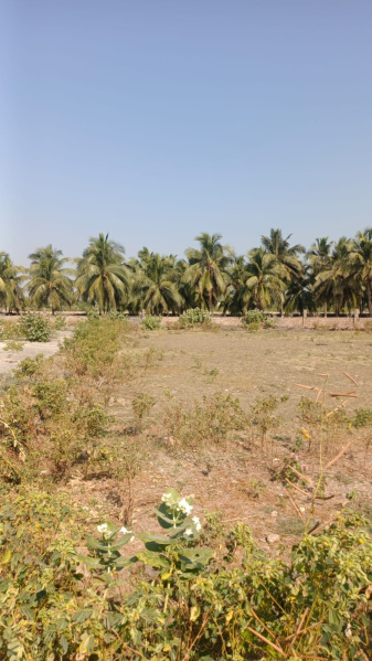  Residential Plot 97 Sq. Yards for Sale in Chhaya, Porbandar