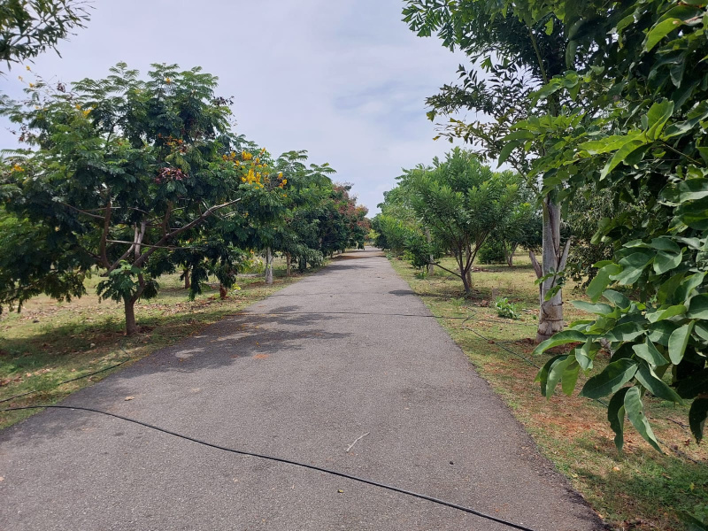  Agricultural Land 11025 Sq.ft. for Sale in Puliampatti, Coimbatore