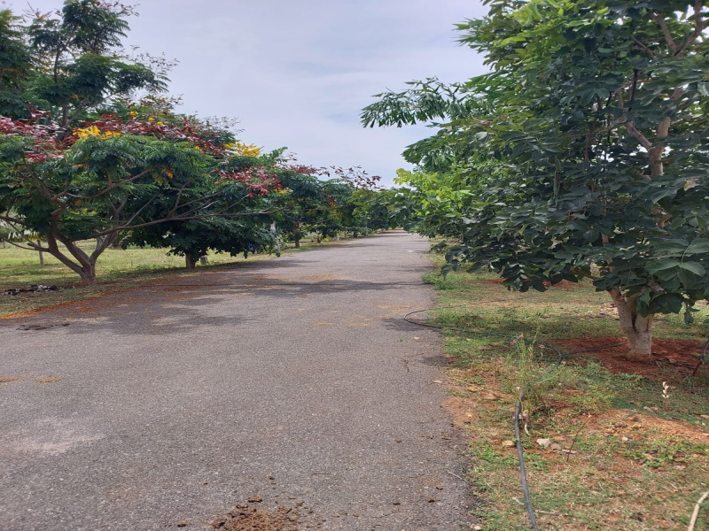  Agricultural Land 11025 Sq.ft. for Sale in Puliampatti, Coimbatore