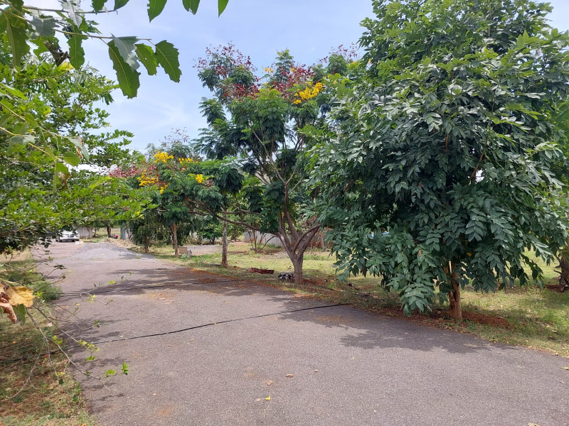  Agricultural Land 11025 Sq.ft. for Sale in Puliampatti, Coimbatore