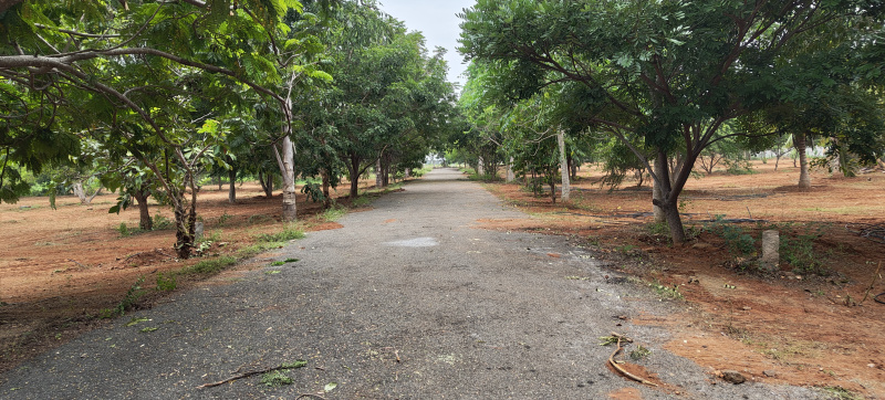  Agricultural Land 11025 Sq.ft. for Sale in Puliampatti, Coimbatore