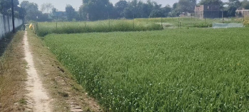  Residential Plot for Sale in Rajatalab, Varanasi