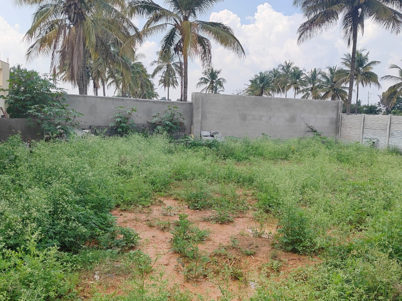  Residential Plot 1525 Sq.ft. for Sale in Marasandra, Bangalore