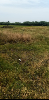  Agricultural Land for Sale in Polur, Tiruvannamalai