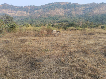  Agricultural Land for Sale in Panvel, Navi Mumbai