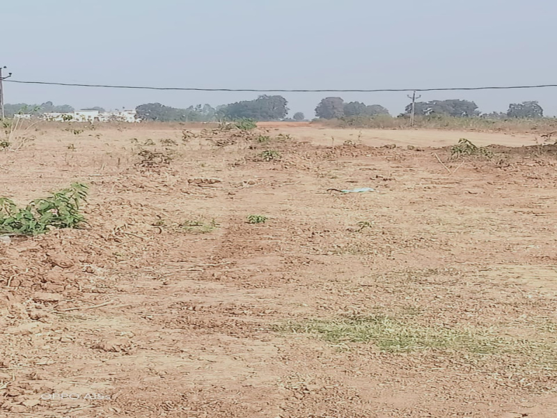  Residential Plot 10763 Sq.ft. for Sale in Kundam, Jabalpur