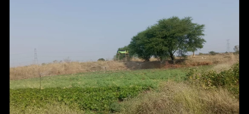  Agricultural Land 2 Ares for Sale in Chimur, Chandrapur