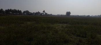  Agricultural Land for Sale in Kurungulam, Thanjavur