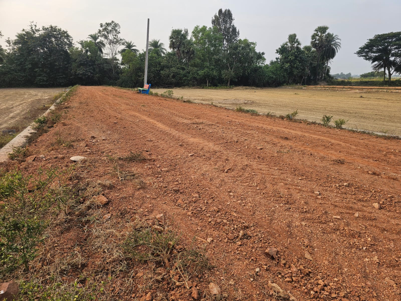  Residential Plot 900 Sq.ft. for Sale in Indira Nagar, Berhampur