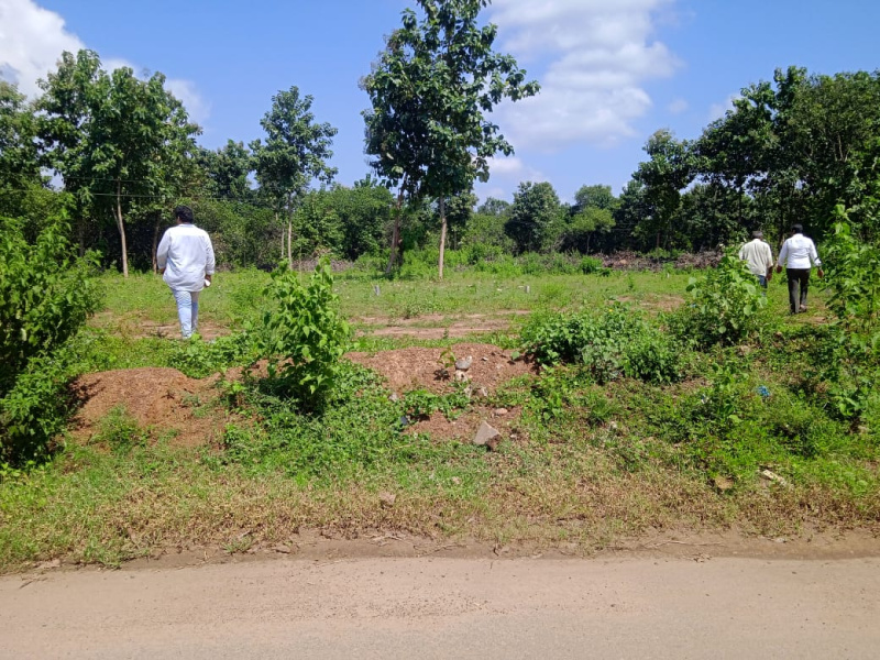  Residential Plot 68 Cent for Sale in Narsipatnam, Visakhapatnam