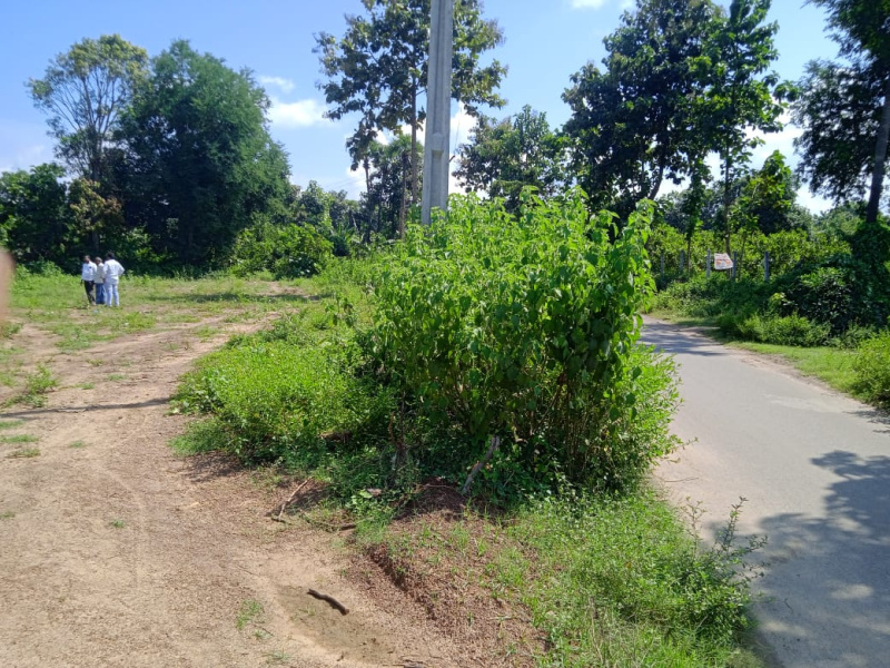  Residential Plot 68 Cent for Sale in Narsipatnam, Visakhapatnam