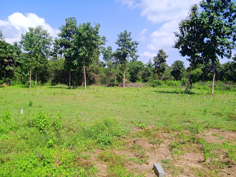  Residential Plot 68 Cent for Sale in Narsipatnam, Visakhapatnam