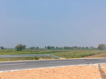  Agricultural Land for Sale in Dachepalle, Guntur