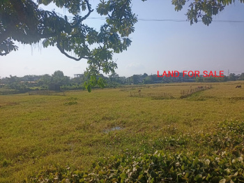  Residential Plot for Sale in Balipara, SONITPUR