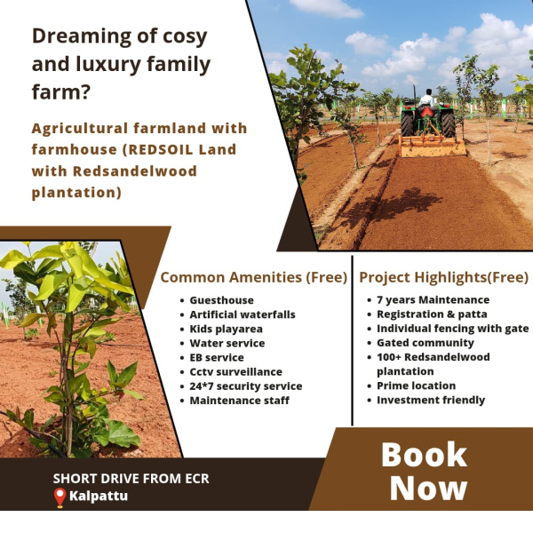  Agricultural Land 9650 Sq.ft. for Sale in Madurantakam, Chennai