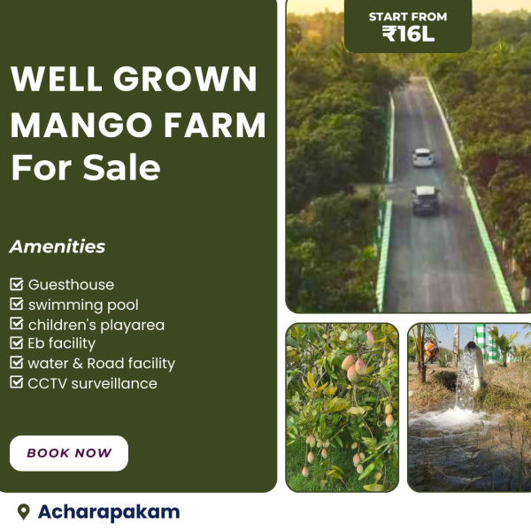  Agricultural Land 9600 Sq.ft. for Sale in Acharapakkam, Chengalpattu
