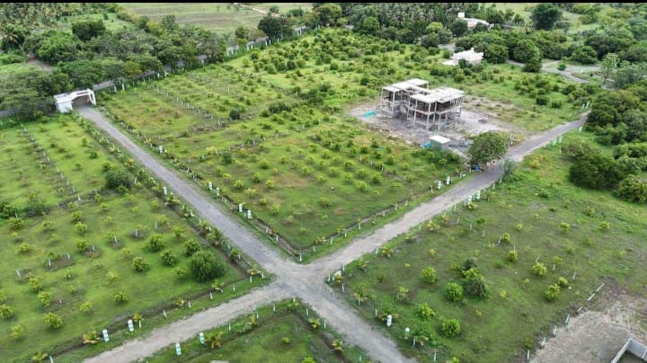  Agricultural Land 10000 Sq.ft. for Sale in Tindivanam, Chennai