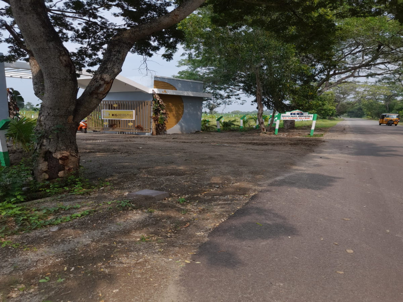  Agricultural Land 10000 Sq.ft. for Sale in Tindivanam, Chennai